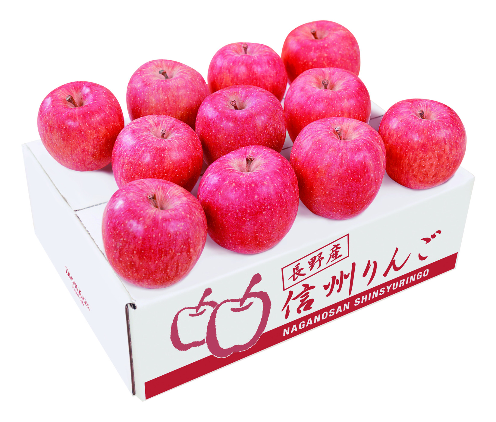 長野産 サンふじりんごK8670-206A