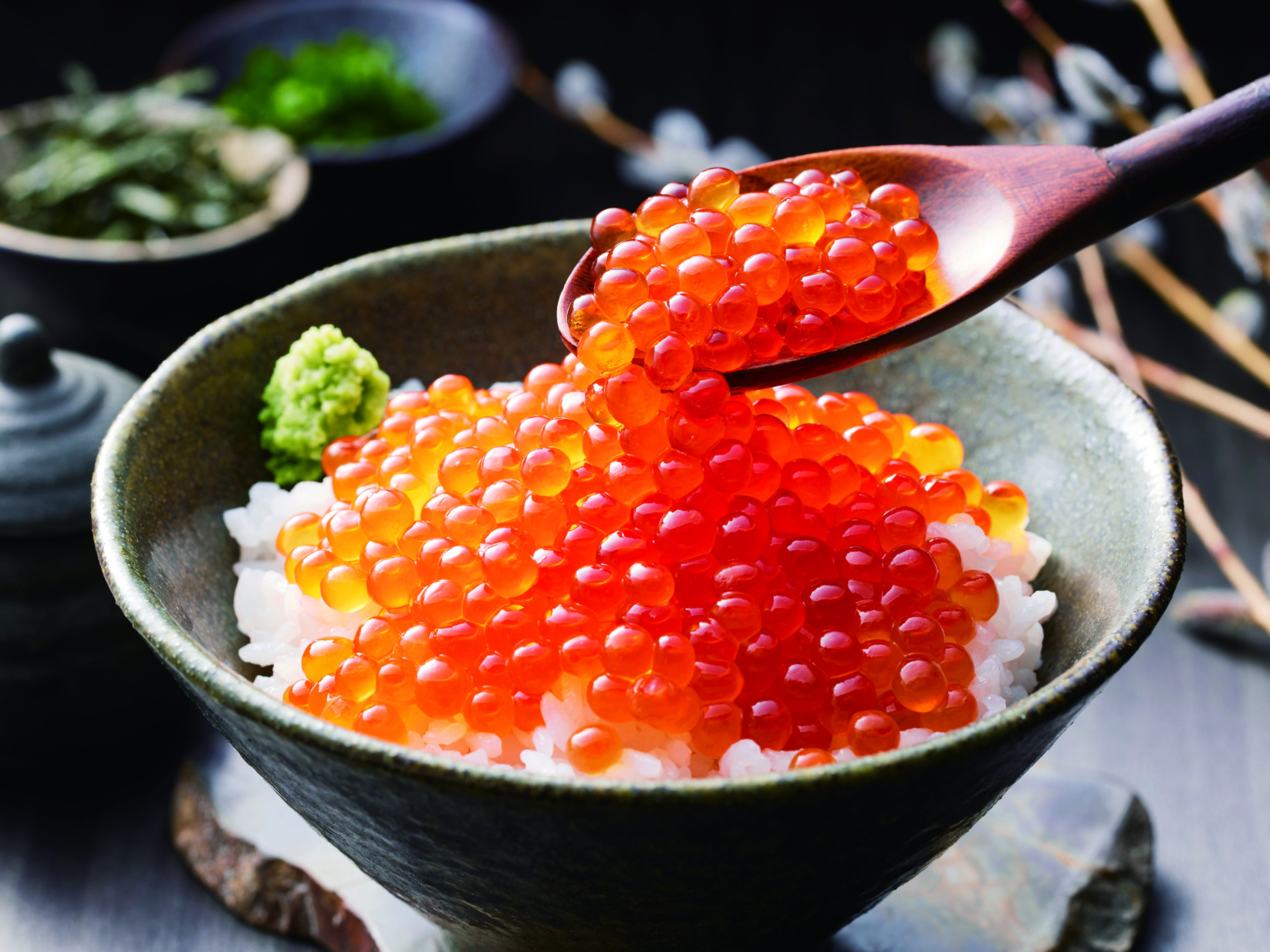 北海道産 いくら醤油漬けK8679-502A